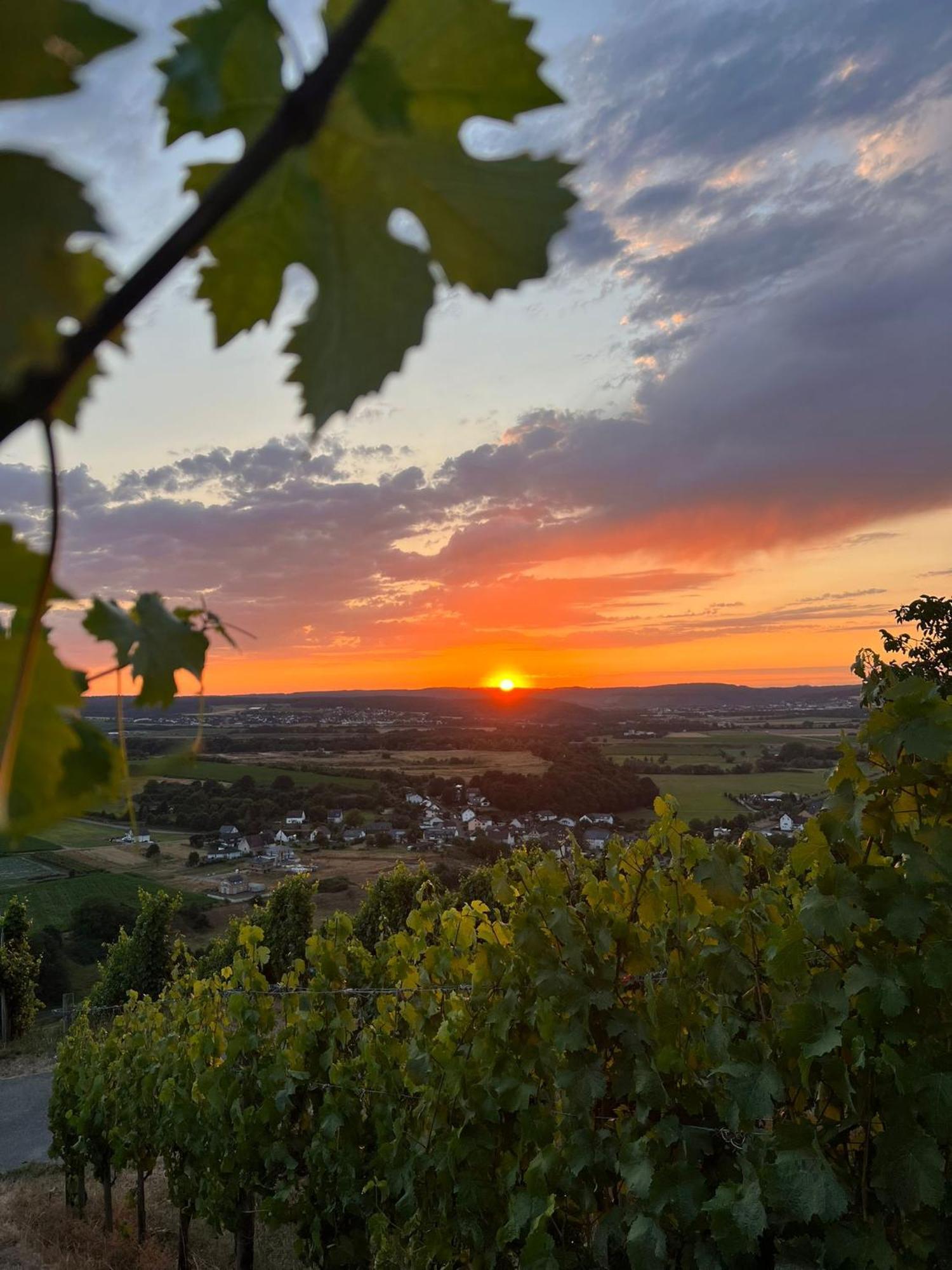 Weingut U. Gaestehaus Becker Platten Exteriér fotografie
